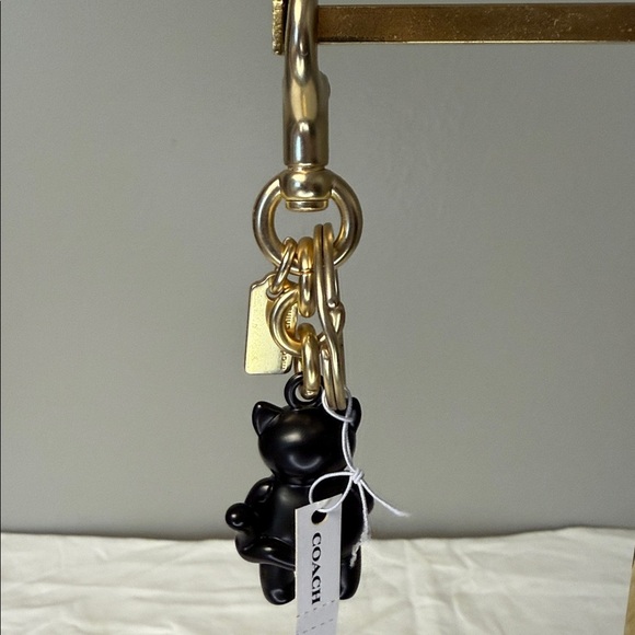 Coach Halloween Black Cat Pumpkin Bag Charm / Keychain – NWT, Retired & Sold Out - Picture 4 of 5